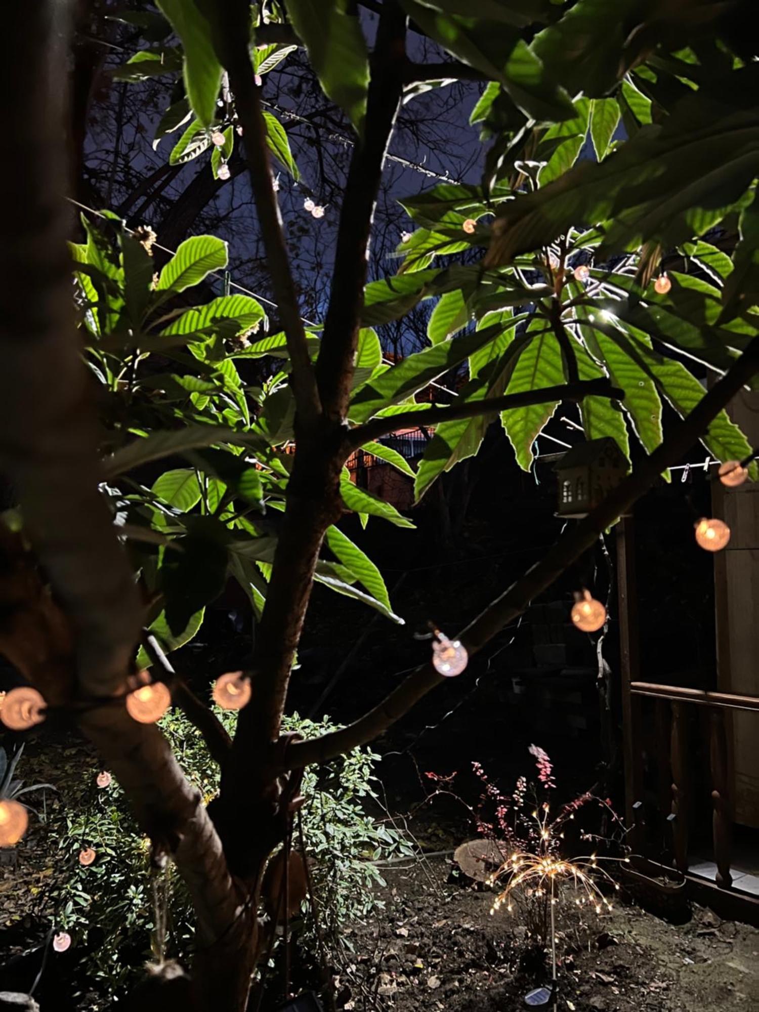 Cozy Apartment ティビリシ エクステリア 写真